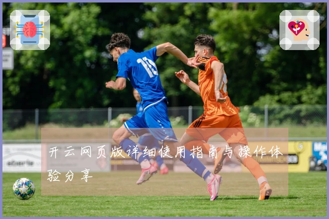 开云网页版详细使用指南与操作体验分享