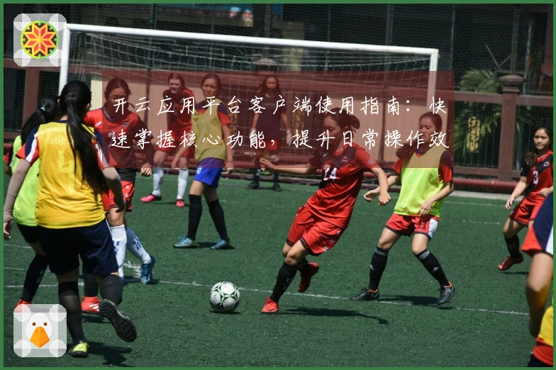 开云应用平台客户端使用指南：快速掌握核心功能，提升日常操作效率