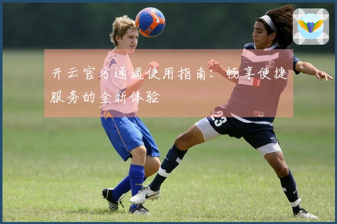 开云官方通道使用指南：畅享便捷服务的全新体验