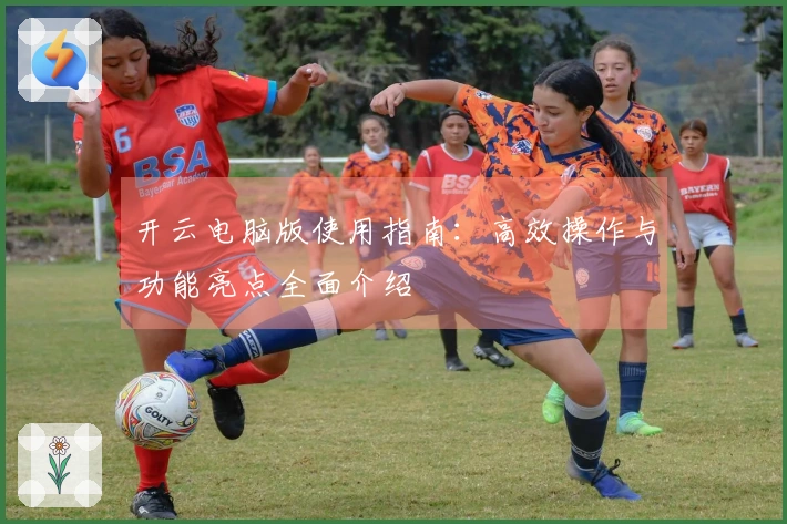 开云电脑版使用指南:高效操作与功能亮点全面介绍
